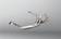 Akrapovic Evolution Header (Titanium) 821 Monster 1200 Monster 2014- - Grenrör - D119480 - 1