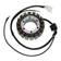 Stator Honda CX500 (81-82) / CX650 (83) - Tändstift - D397961 - 1