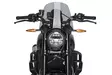 Puig Windscreen New Generation Sport Indian Ftr 1200 19 - Vindskydd - D517442 - 1