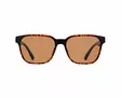 Spect Red Bull Eliot Sunglasses Shiny Havana w Brown lens - Solglasögon - D502392 - 2