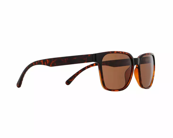 Spect Red Bull Eliot Sunglasses Shiny Havana w Brown lens - Solglasögon - D502392 - 1