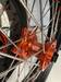 Sixty5 KTM Supermoto Svart/Orange fälgset 3.5-17/5.0-17 - Kompletta hjul - D431133 - 3