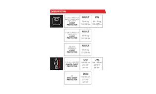 Leatt Bröstskydd 2.5 Svart - Bröstskydd - D428404 - 2