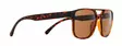 Spect Red Bull Elroy Sunglasses Shiny Havana w Brown lens - Solglasögon - D502595 - 2