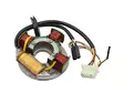 Sno-X Stator, Polaris - Tändstift - D503956 - 1