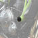 Puig Chassis Plugs Kawasaki Ninja 650/Z650 C/Black - Övrigt - D186637 - 1