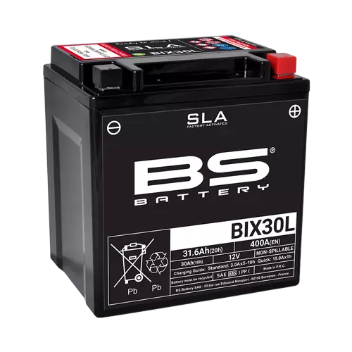 Batterie De Rechange Pour YIX30L-BS 12 V 30 Ah SLA – Compatible Avec