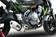 GPR Kawasaki Z 650 2017/20 e4 EC-Approv. full line exhaust catalized Albus Evo4 - Komplett avgassystem - D407059 - 7