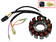 Sno-X Stator, Arctic Cat 440/800/900 - Tändstift - D465019 - 1