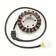 Stator Honda CBR1100XX 99-03 - Tändstift - D1829 - 1