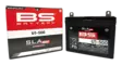 BS Battery U1-500 (FA) SLA MAX - Sealed & Activated - Batteri & Laddning - D508969 - 2